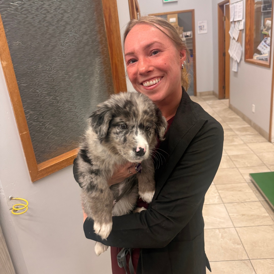 Ospika Animal Hospital Prince George