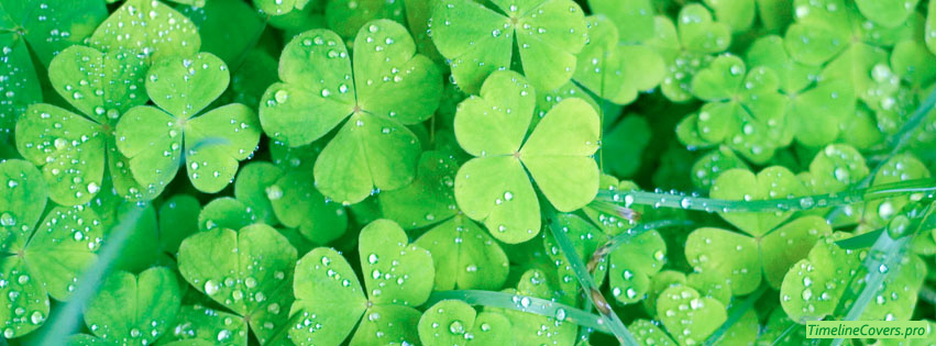 Quesnel Family Optometric