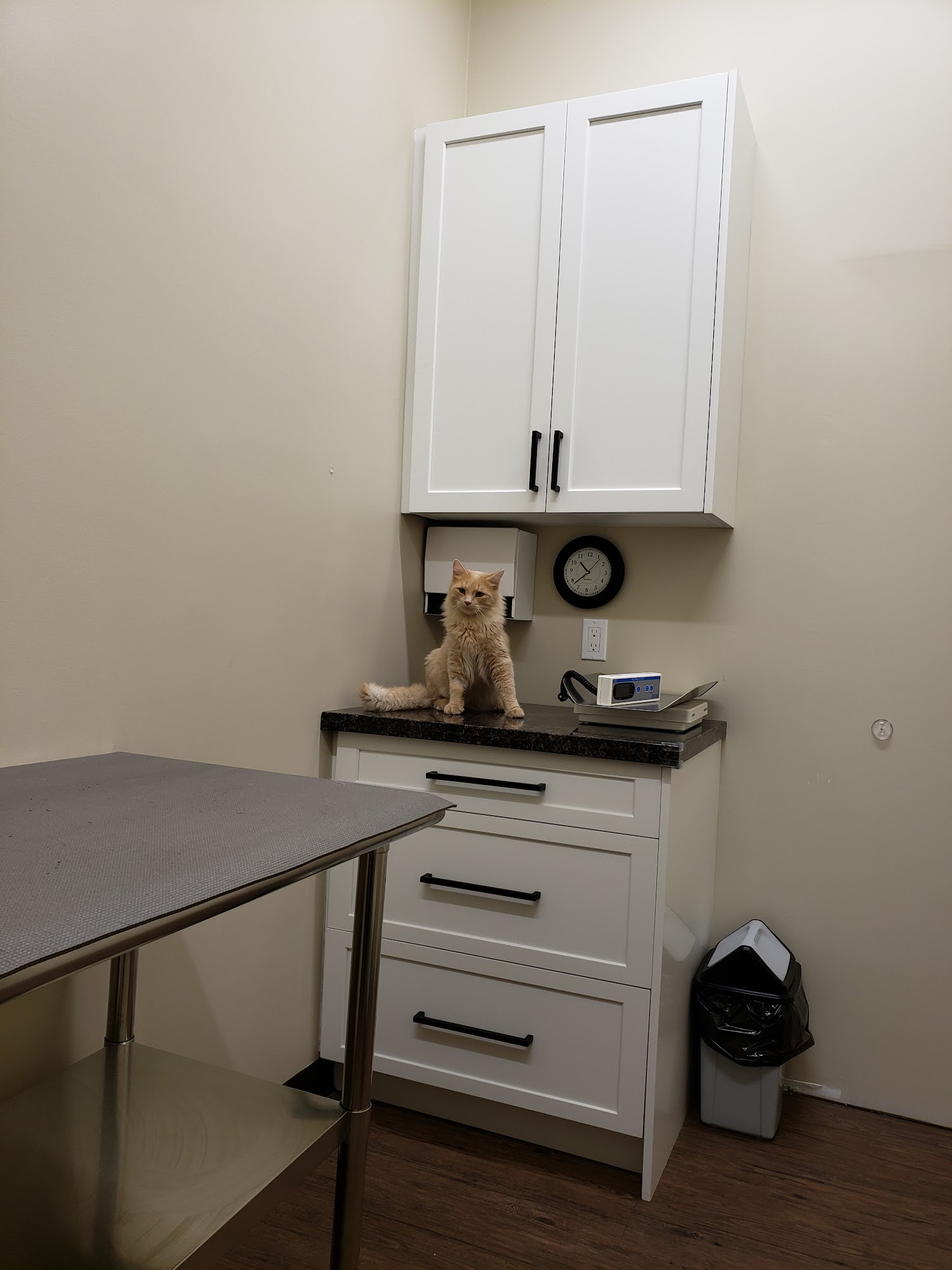 Animal Care Hospital of Quesnel Quesnel