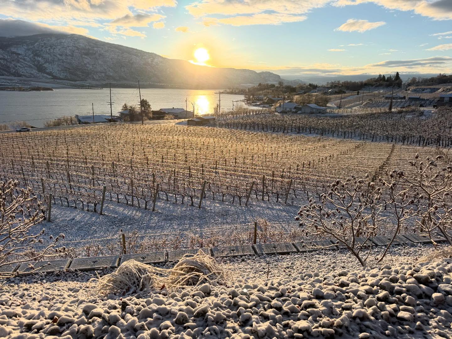 Country Vines Winery Richmond