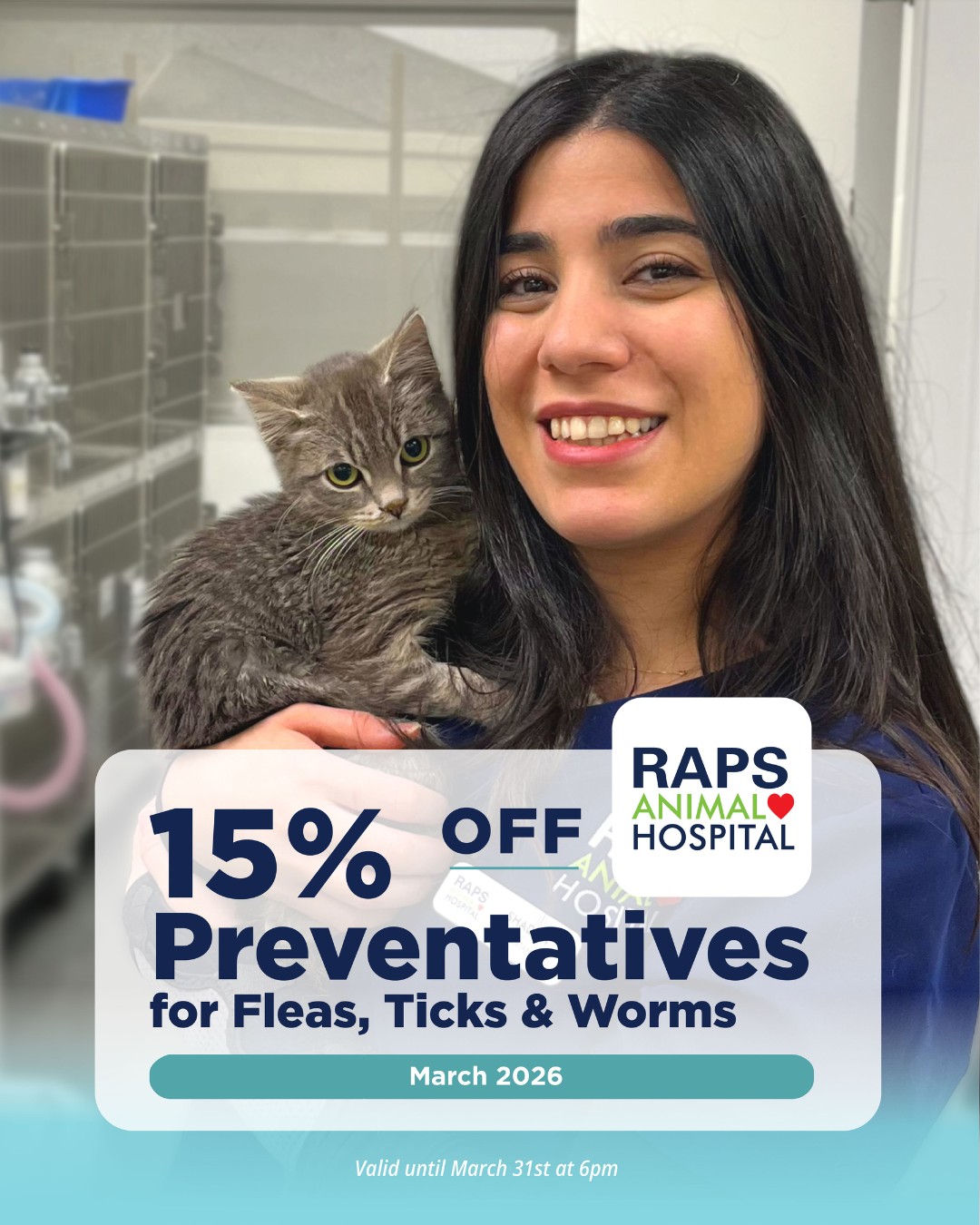 RAPS Animal Hospital Richmond