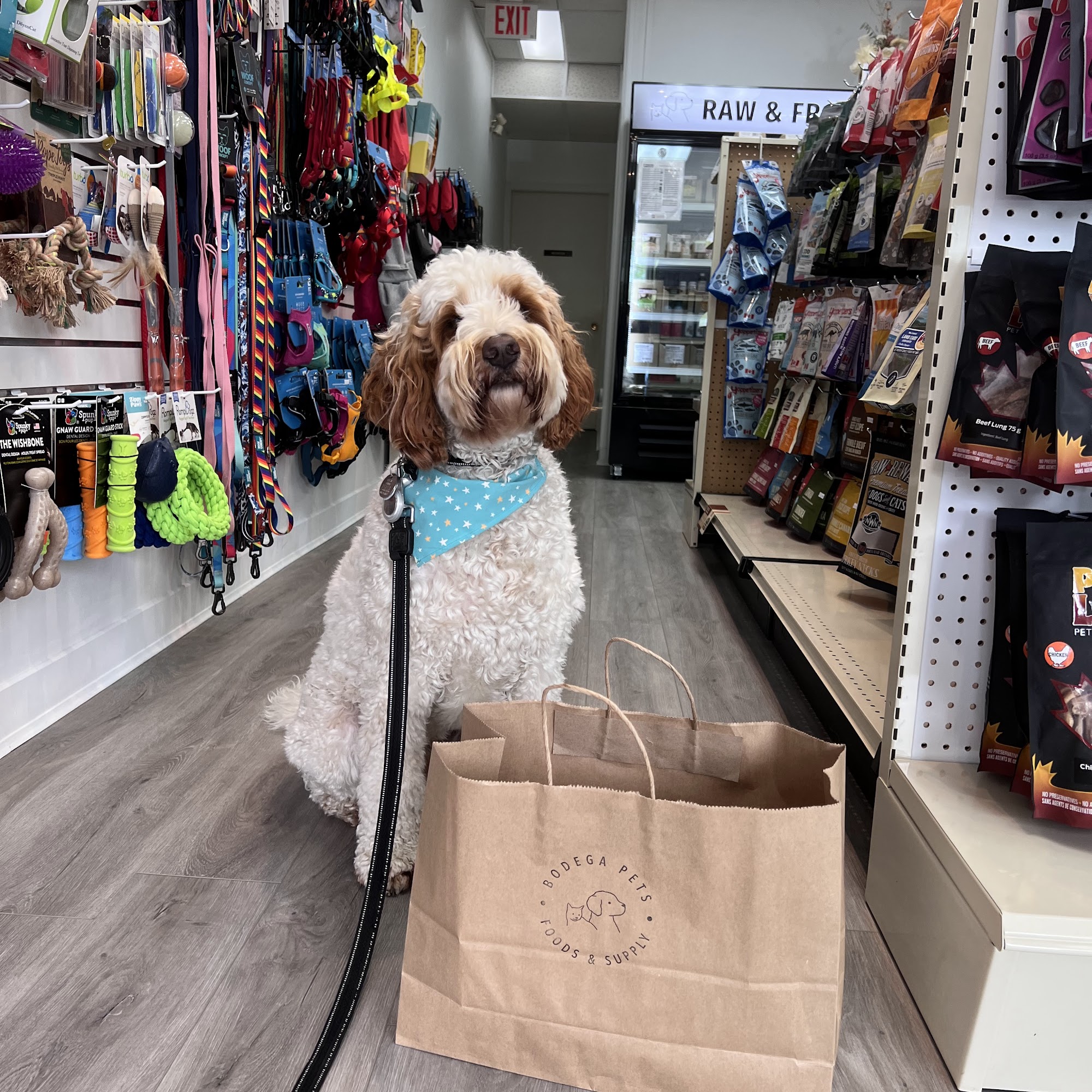 Bodega Pets Foods and Supply Richmond