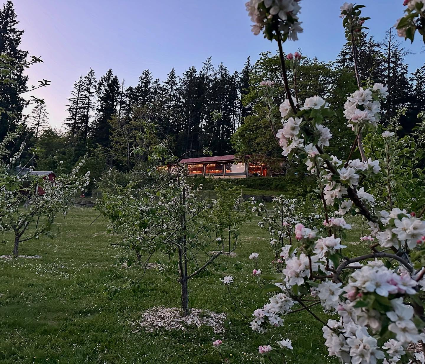 Salt Spring Wild Cider House Salt Spring Island