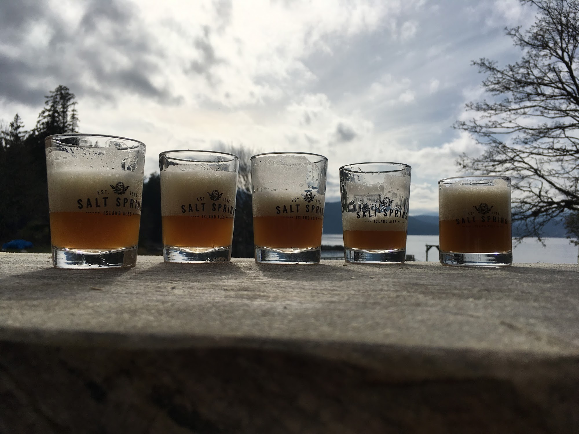 Salt Spring Brewing Co. Menu
