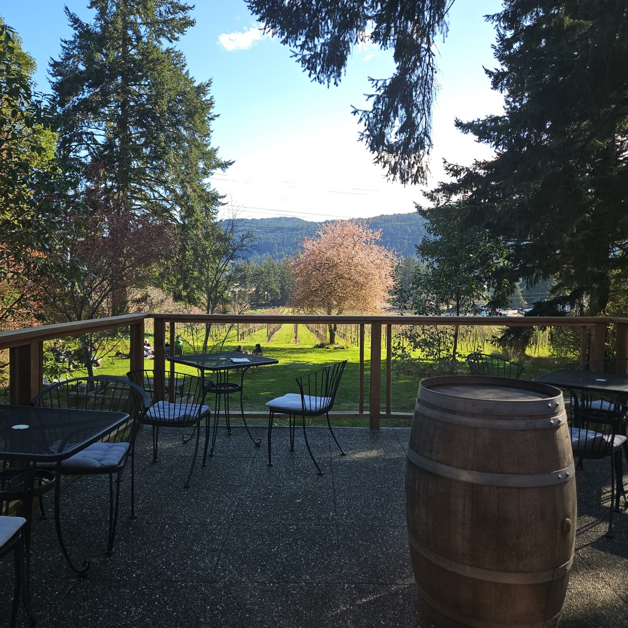 Kutatás Wines Salt Spring Island