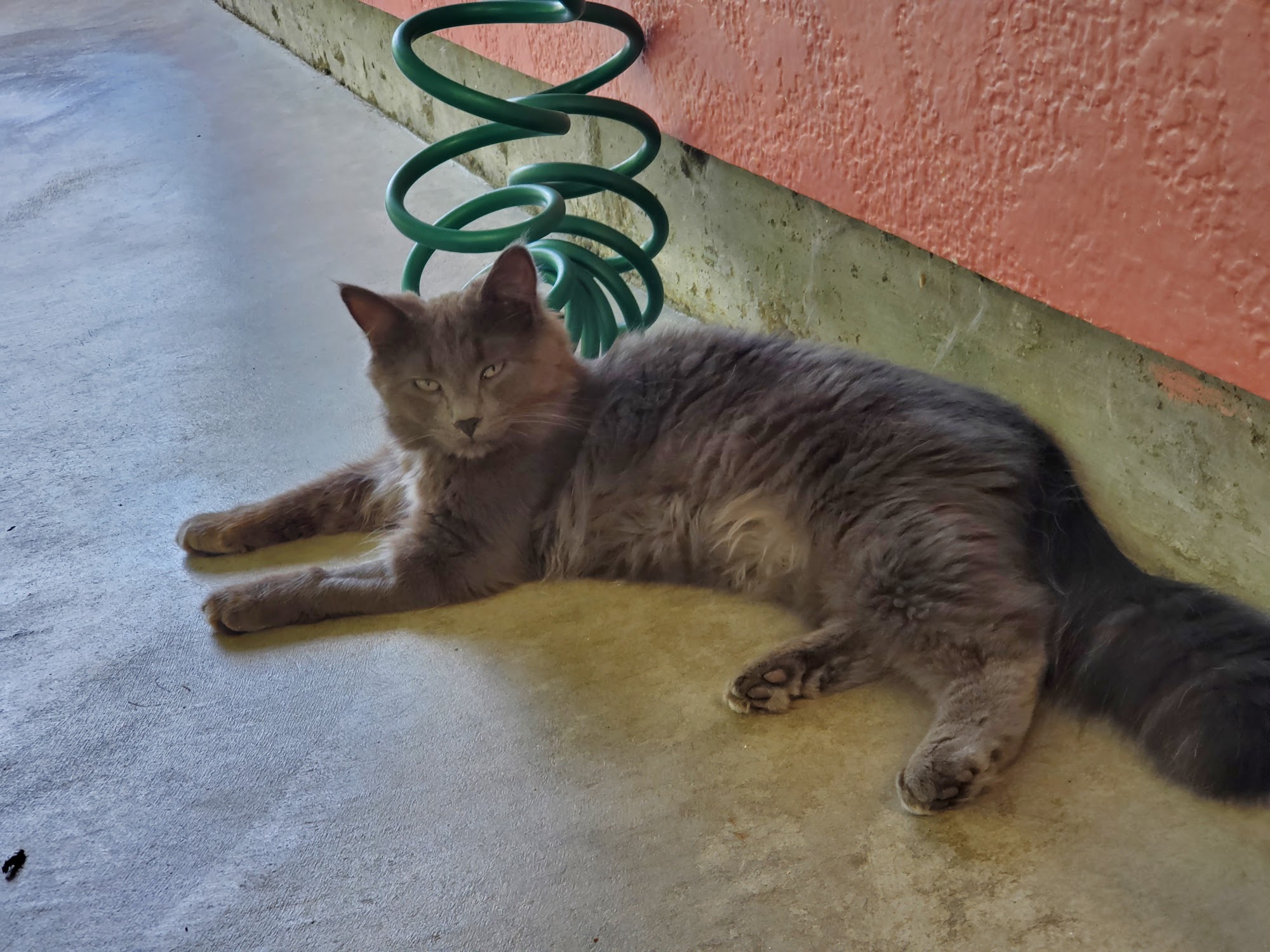 BC SPCA Sunshine Coast Sechelt