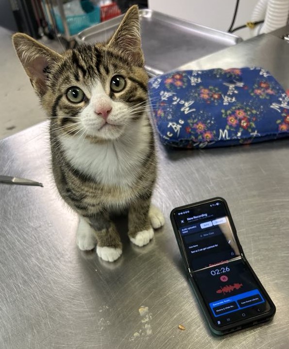 Sechelt Animal Hospital Sechelt