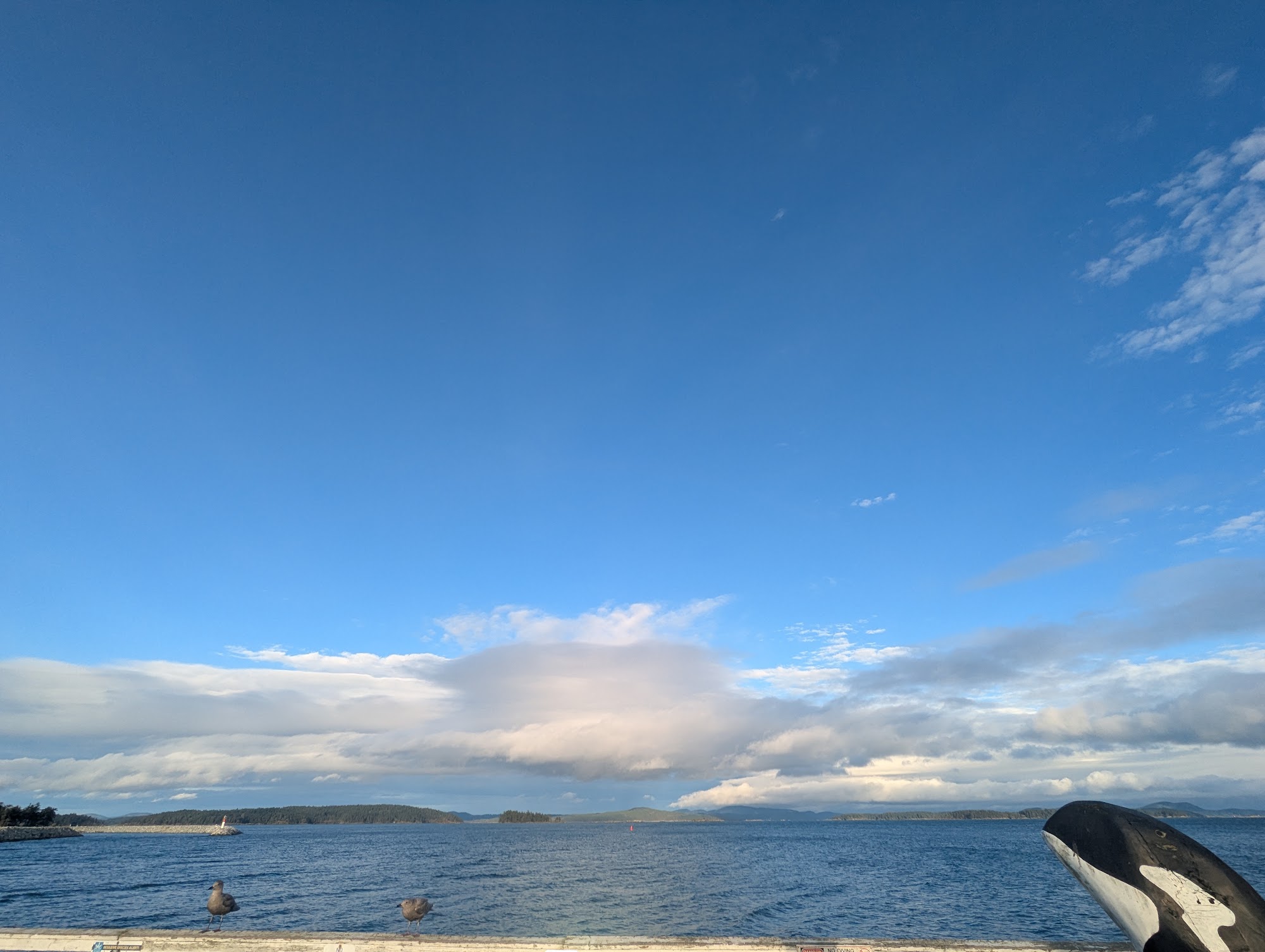 Satellite Fish Co Ltd Menu