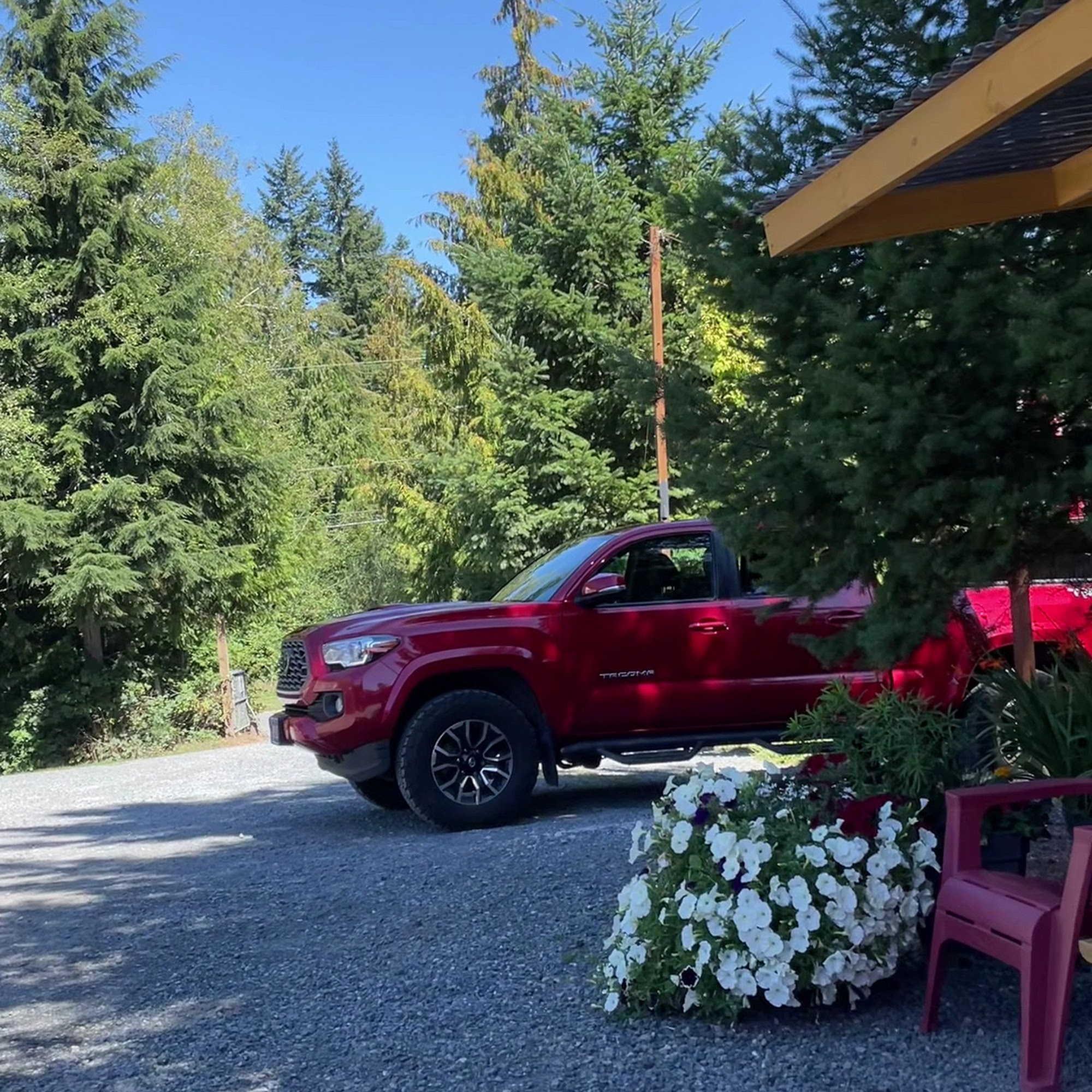 Bad Dog Brewing Company Sooke