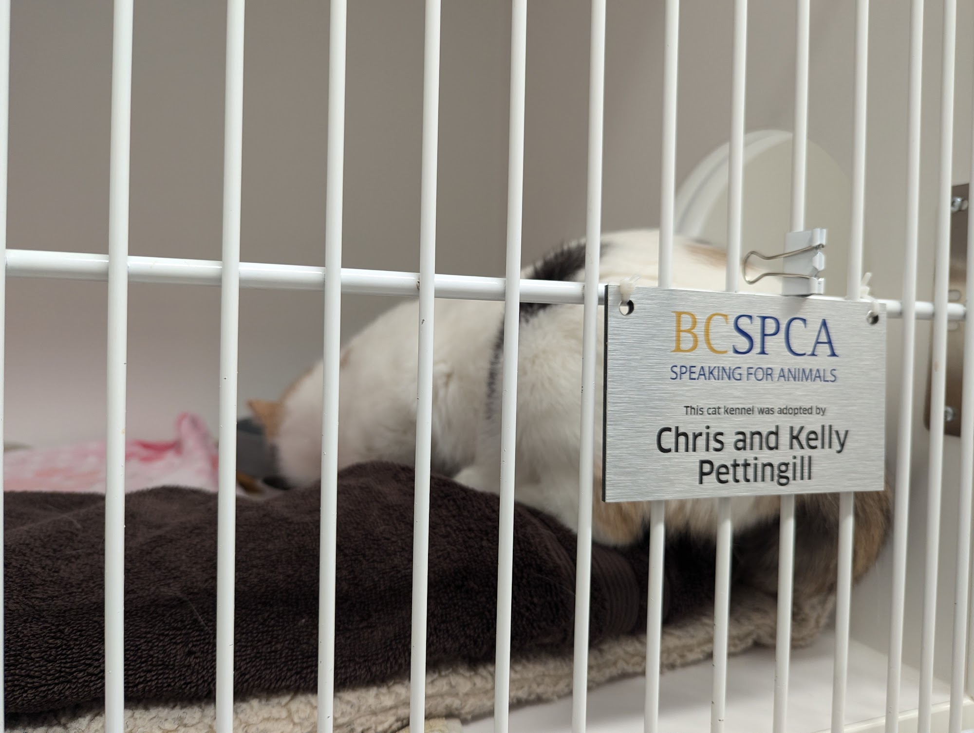 BC SPCA Sea to Sky Squamish