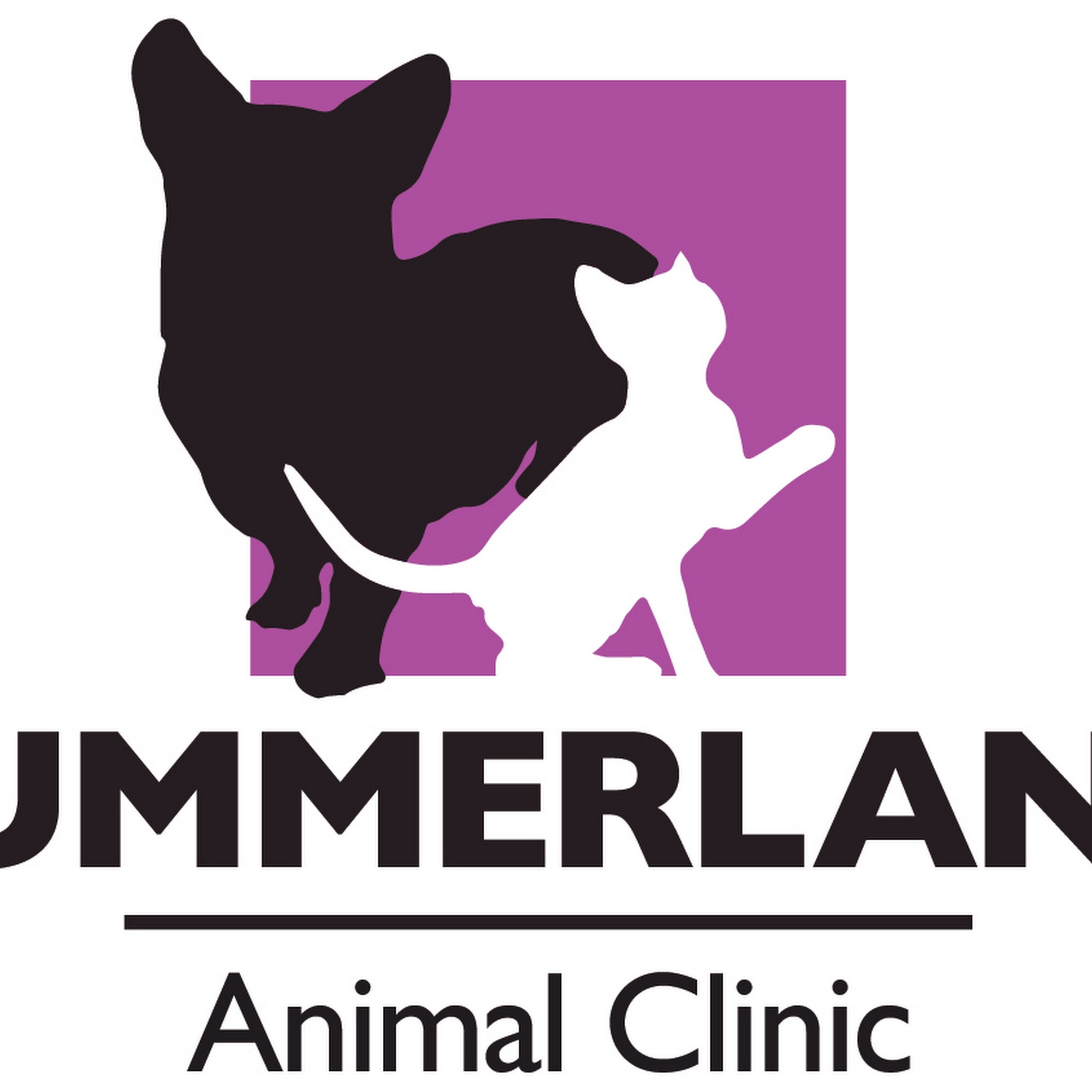 Summerland Animal Clinic Summerland
