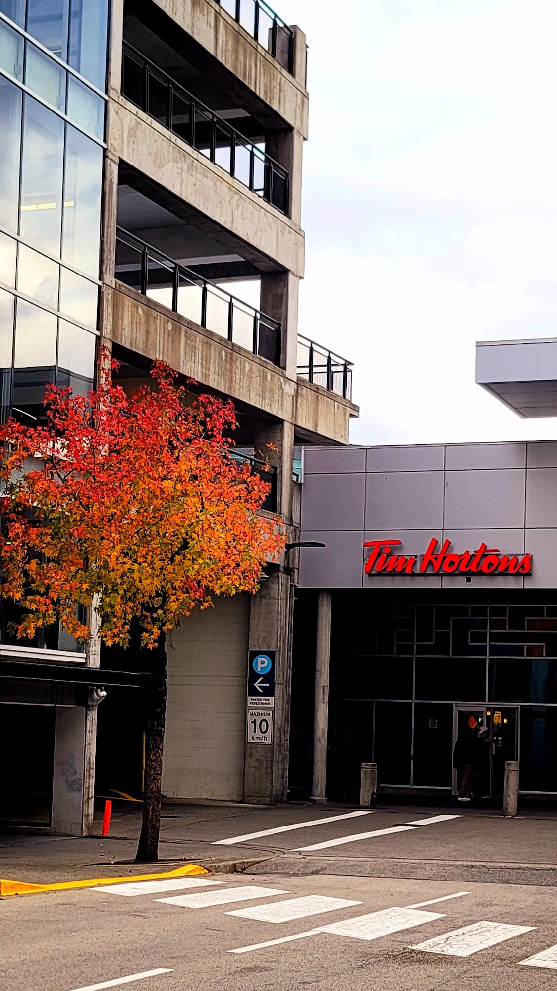 Tim Hortons