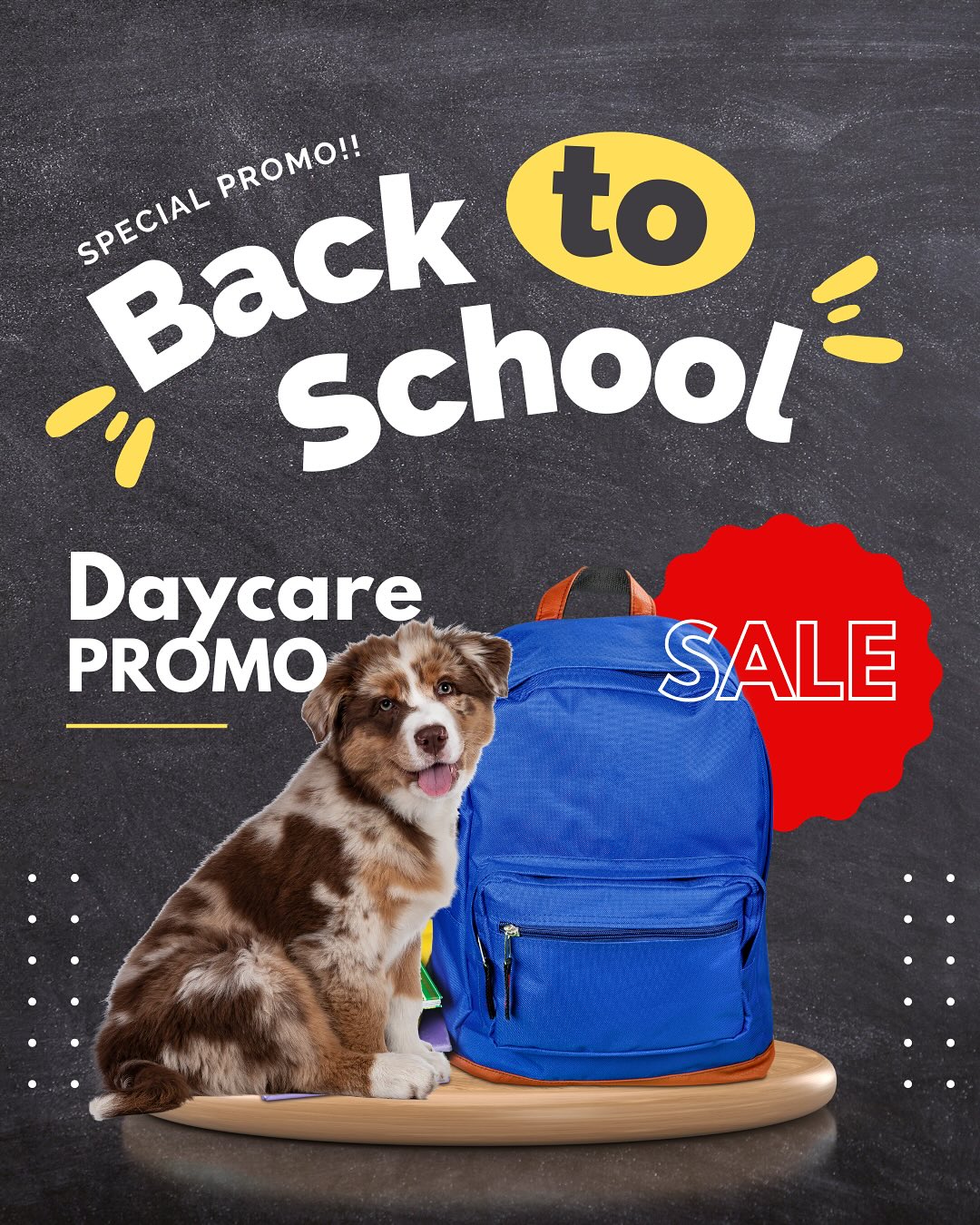 Canine Harmony Surrey