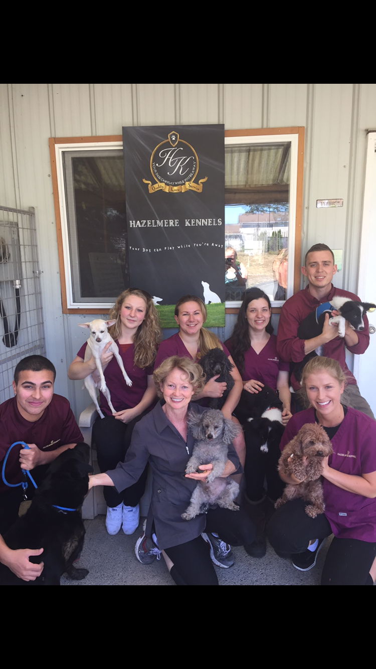 Hazelmere Kennels Surrey