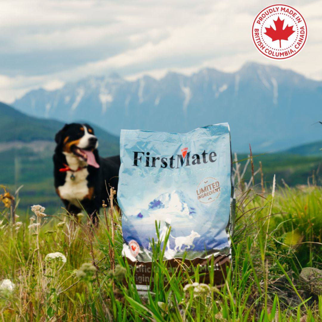 Wagging Tales Pet Food, Supplies & Grooming Surrey