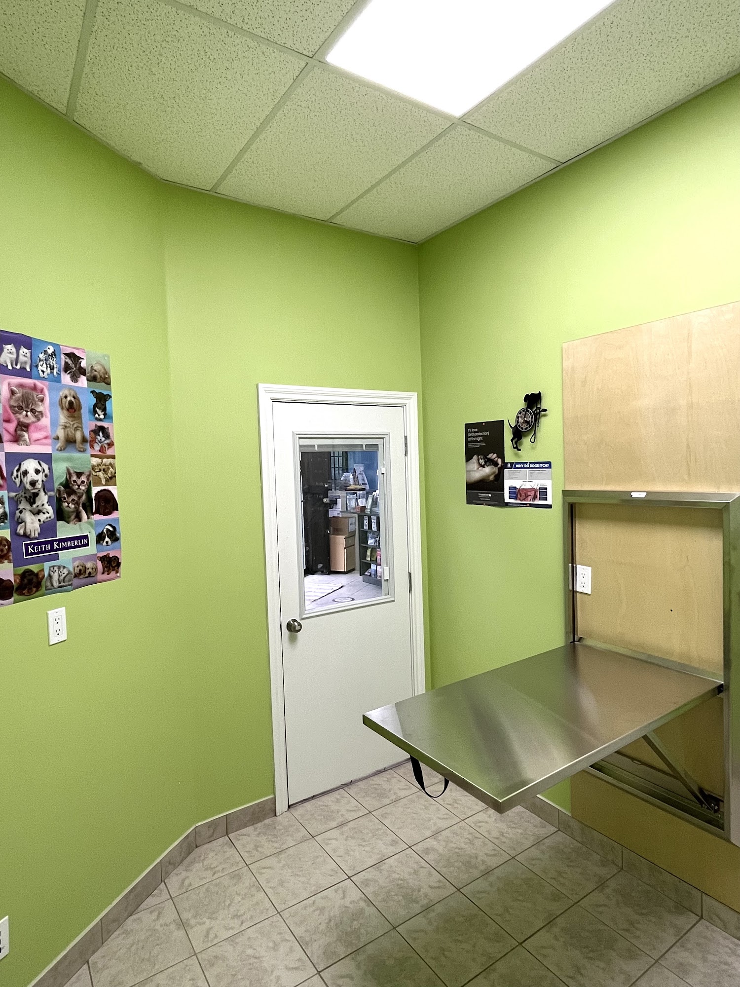 186 St Animal Hospital Surrey Langley Surrey