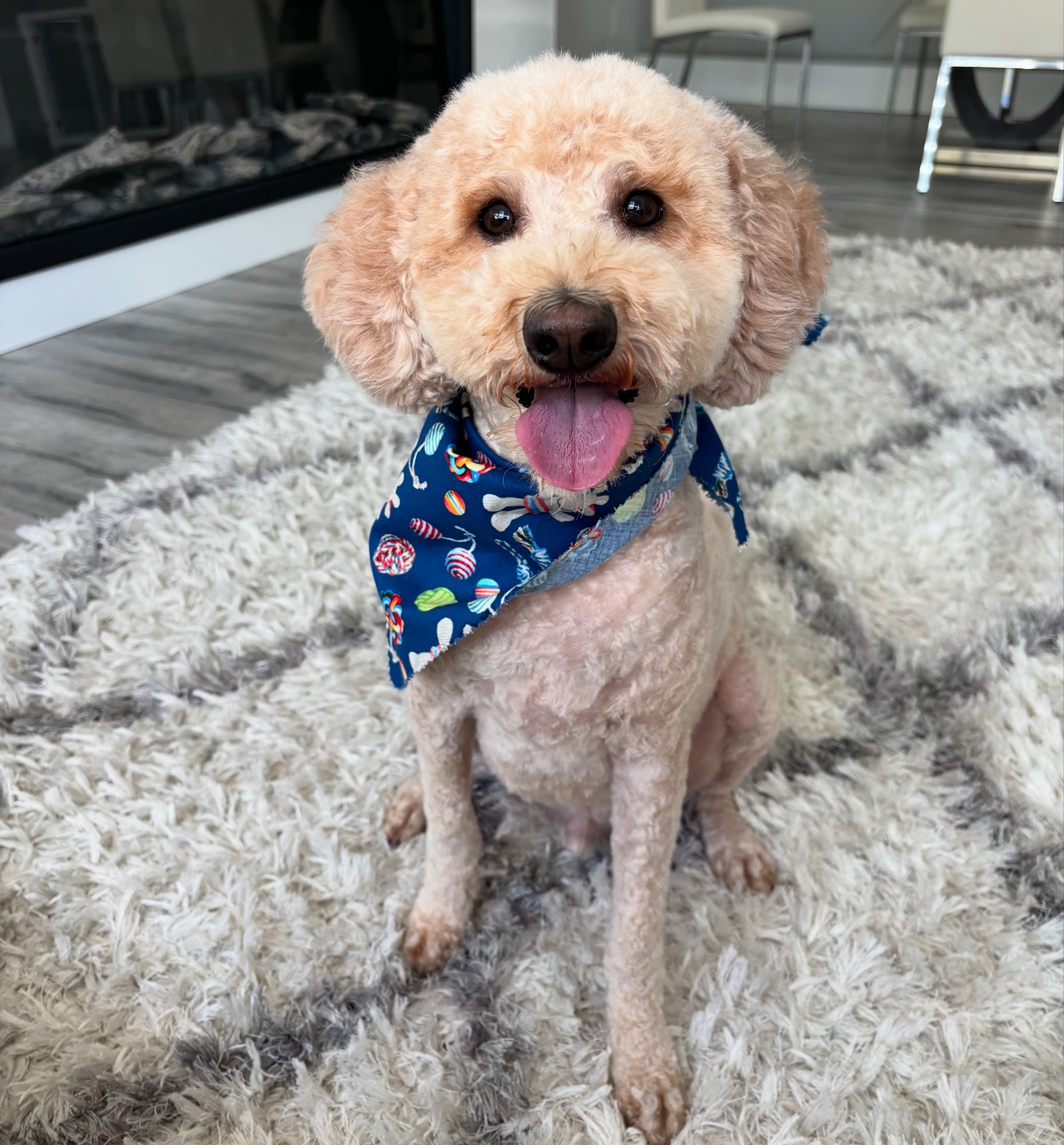 Pet Solutions Supermarket & Grooming Surrey