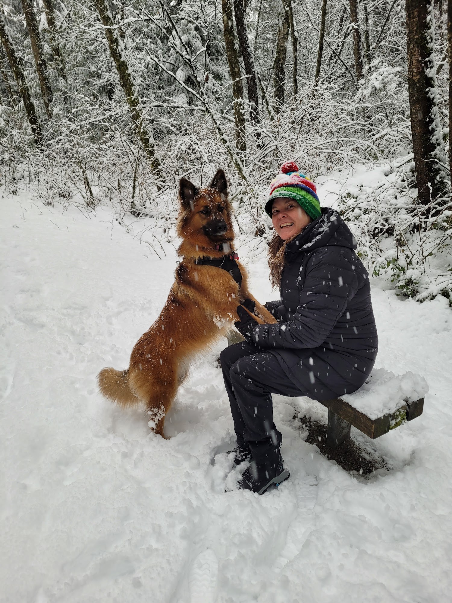 Cedar Hills Pet Supplies & Grooming Surrey