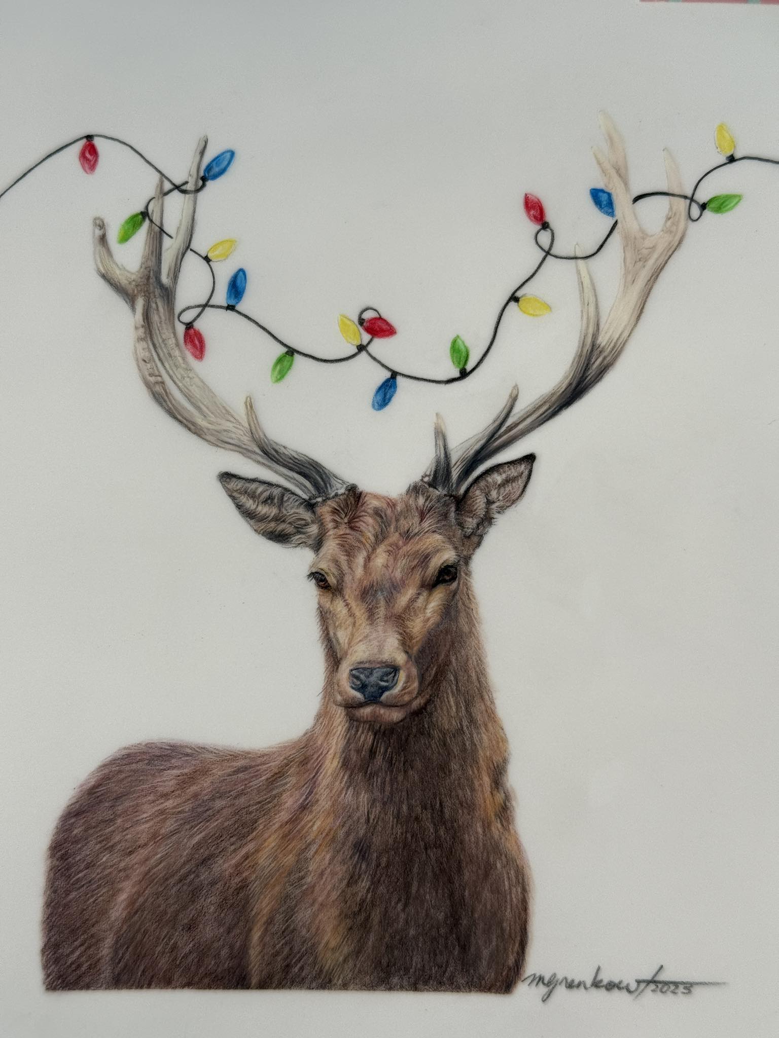 Animal Haven Grooming Surrey