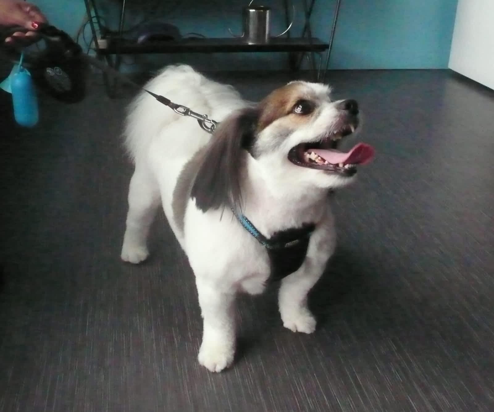 Photo credit: yellowpages.ca