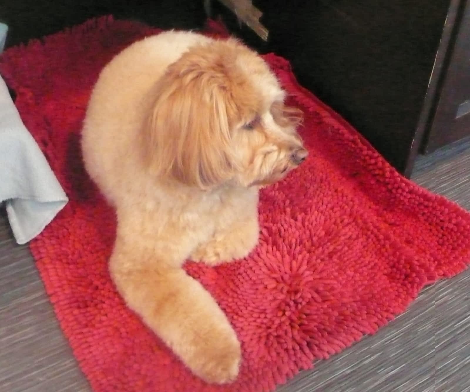 Photo credit: yellowpages.ca