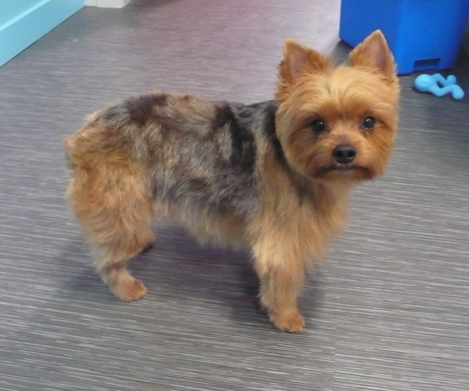 Photo credit: yellowpages.ca