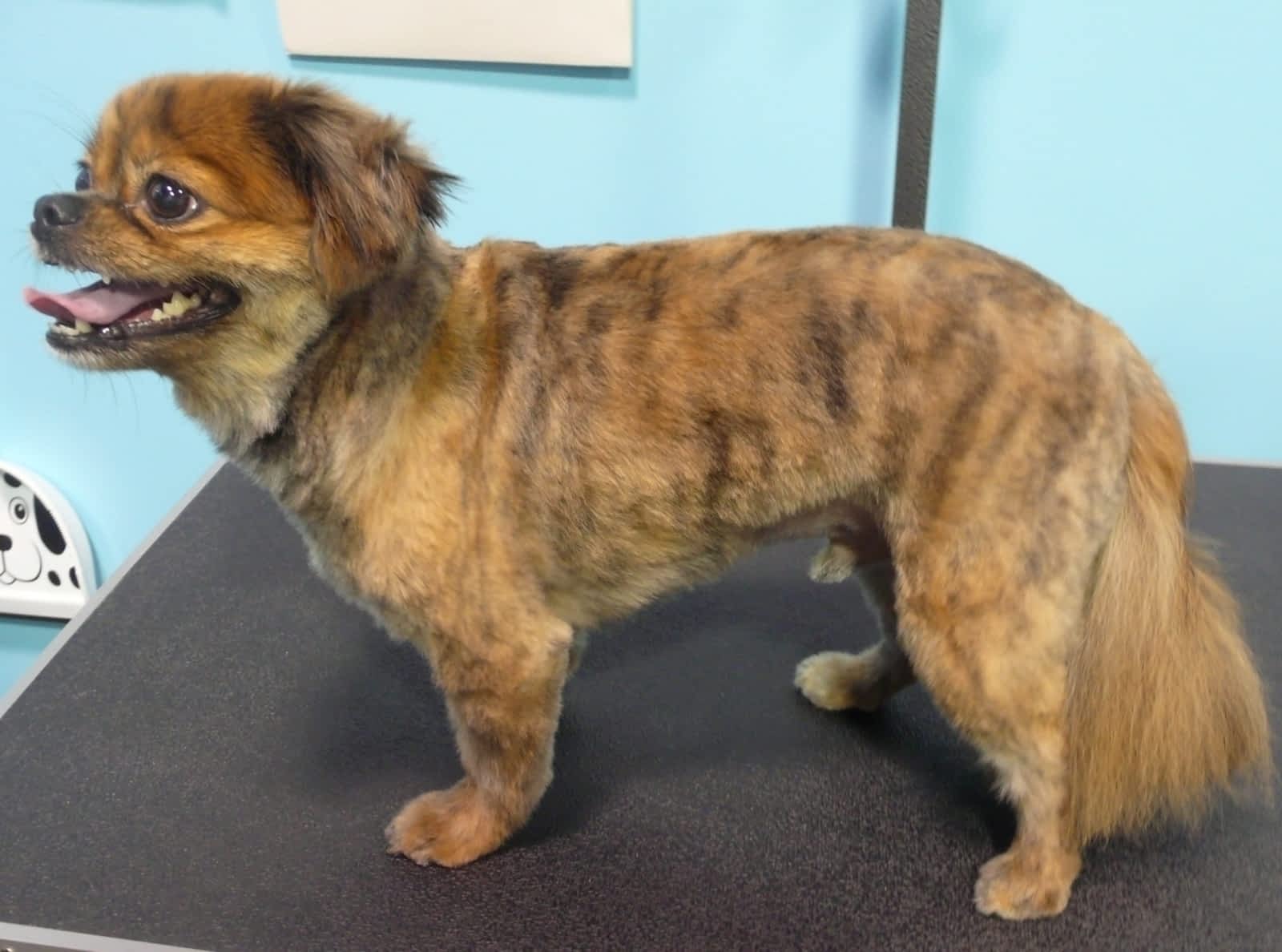 Photo credit: yellowpages.ca