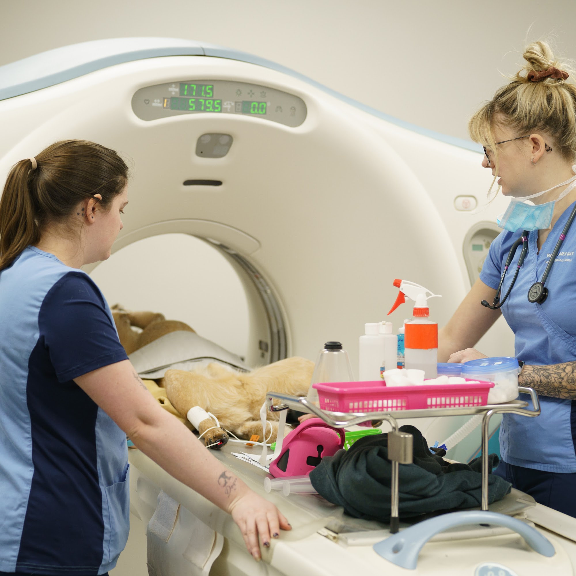 Boundary Bay Veterinary Specialty Hospital Surrey