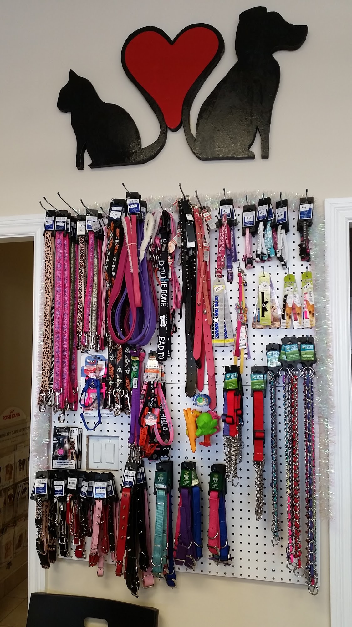 City Petcare Hospital Surrey