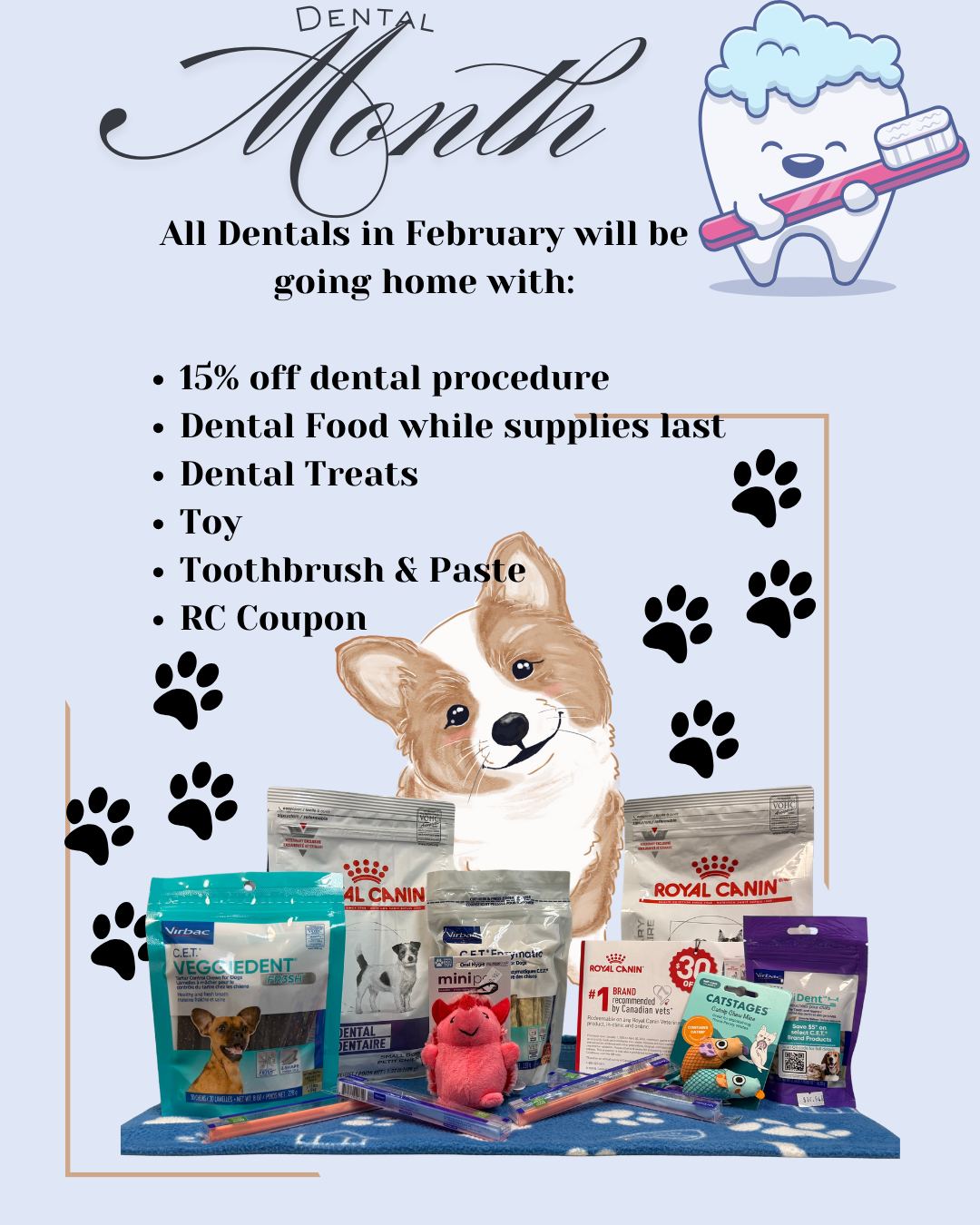 Fraser Heights Animal Hospital Surrey