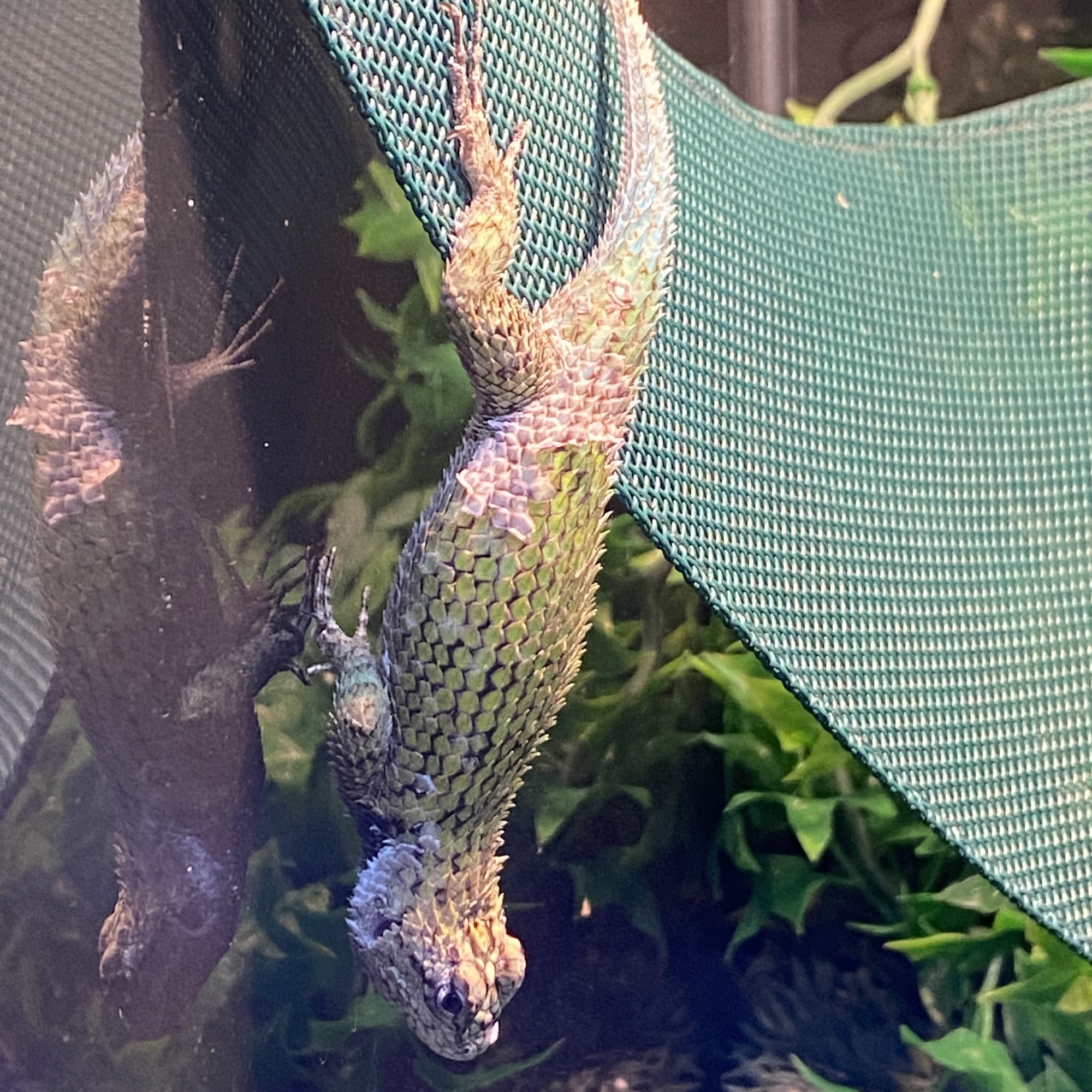 Roger's Aquatic & Pet Supplies Surrey