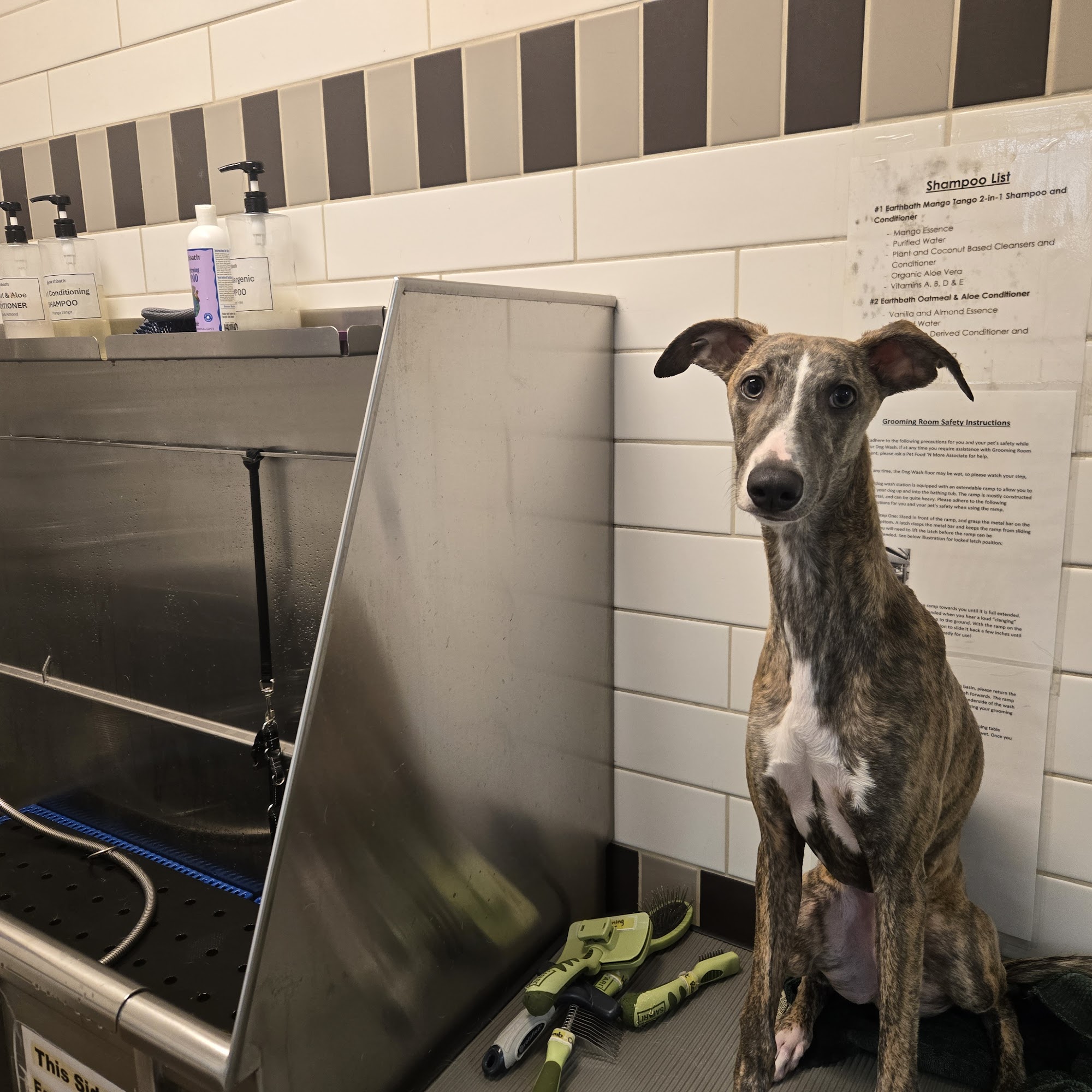 Pet Food 'N More Surrey