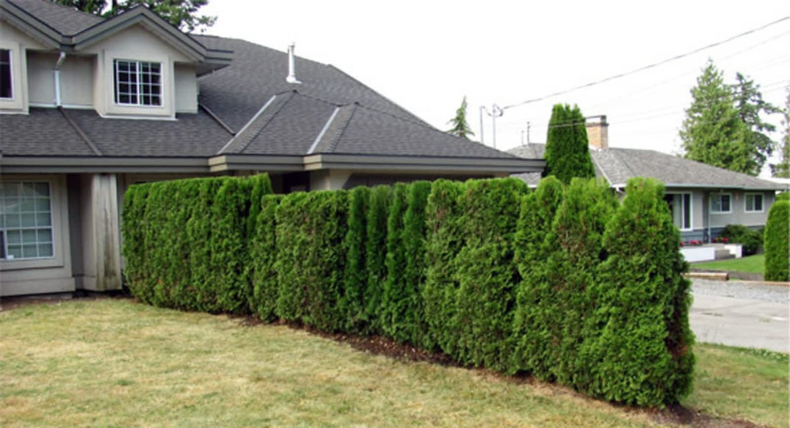 Photo credit: yellowpages.ca