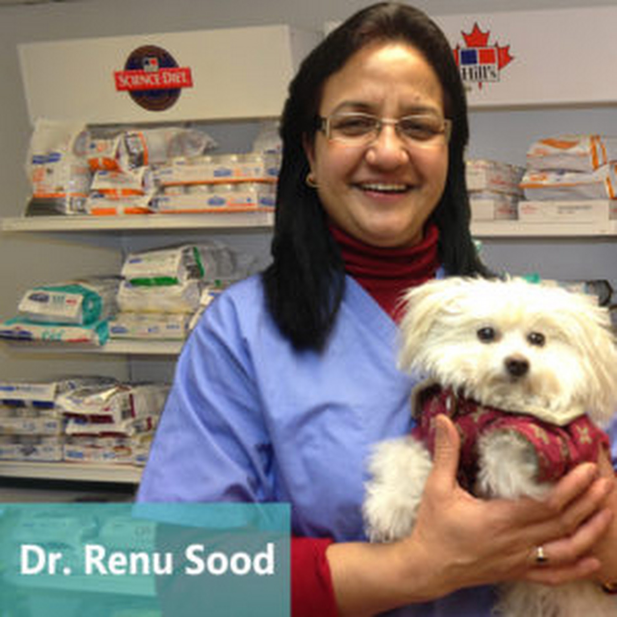 Apollo Animal Hospital Surrey