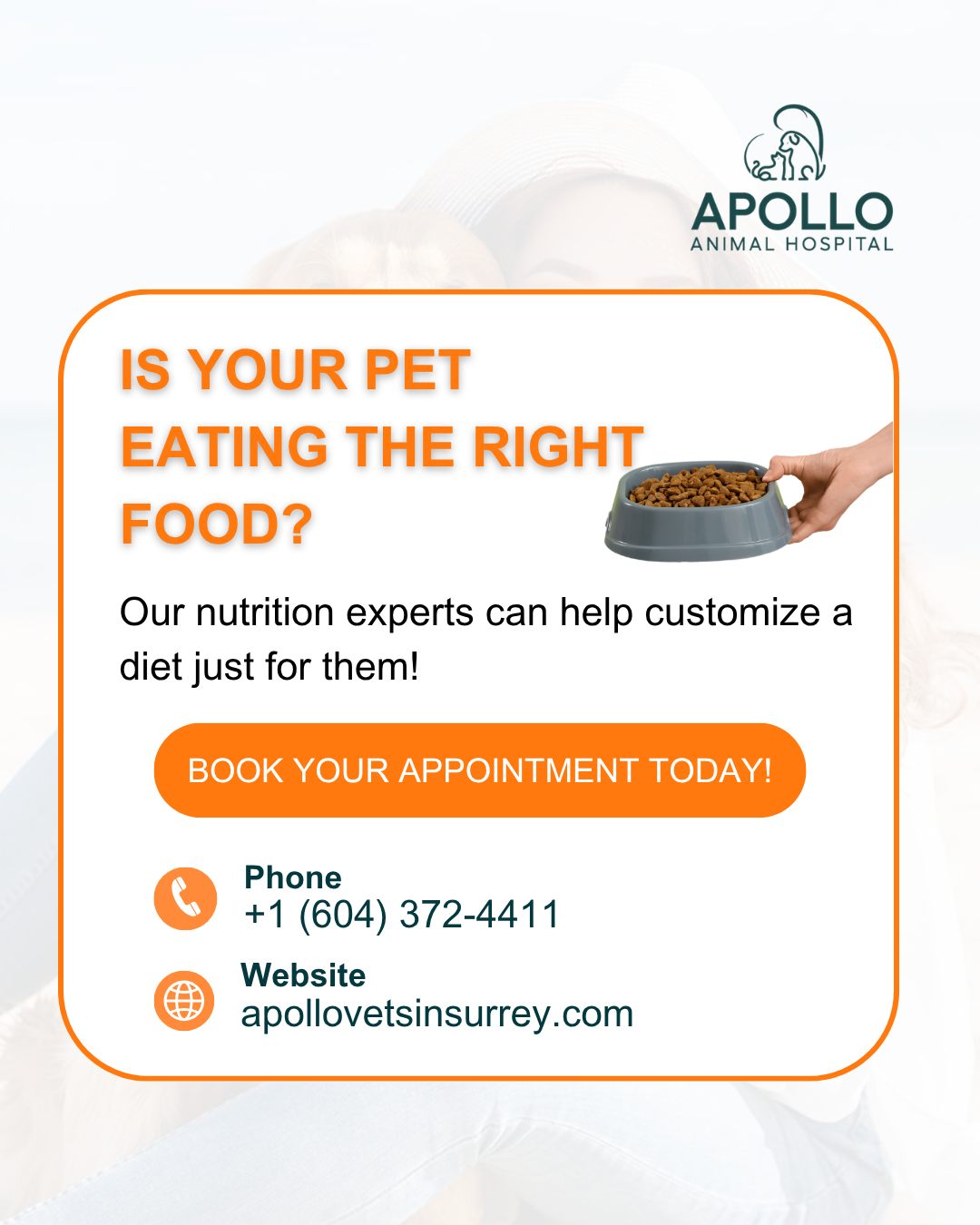 Apollo Animal Hospital Surrey