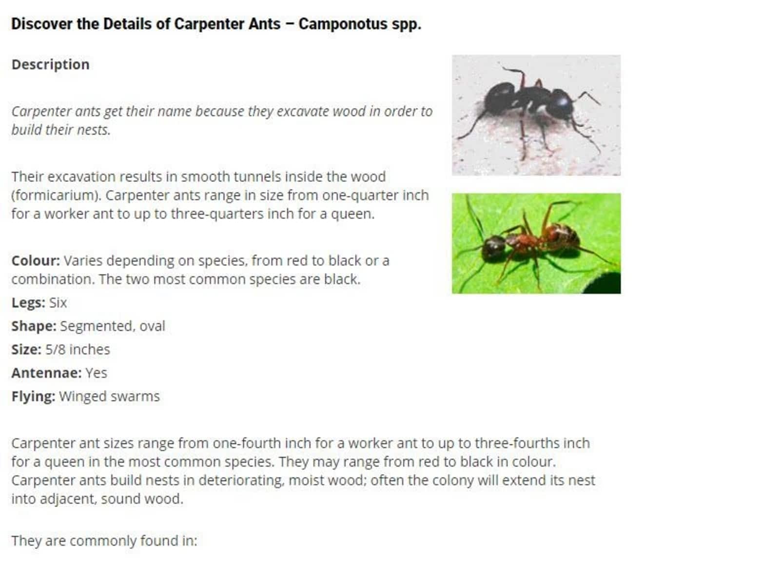 Photo credit: yellowpages.ca