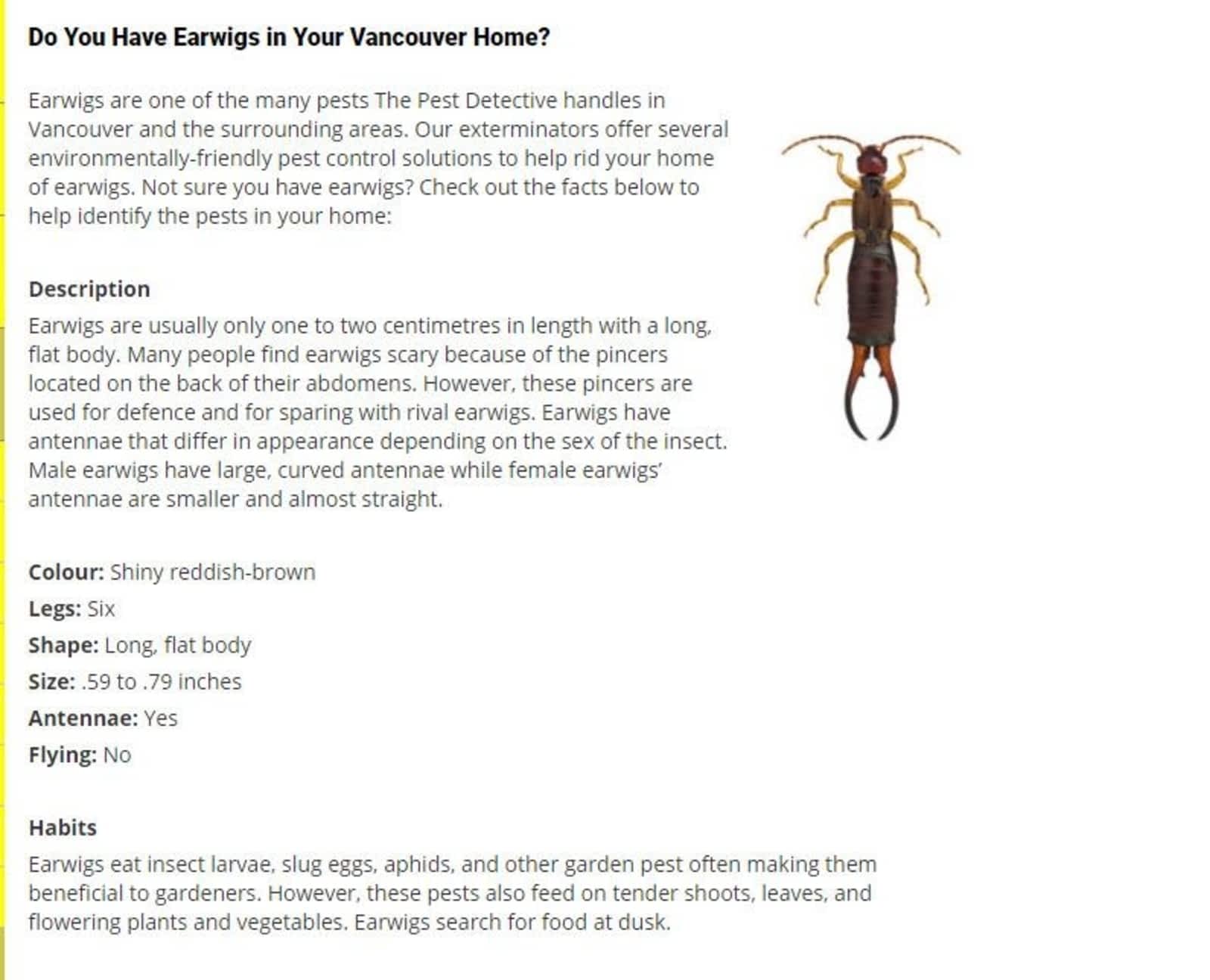 Photo credit: yellowpages.ca