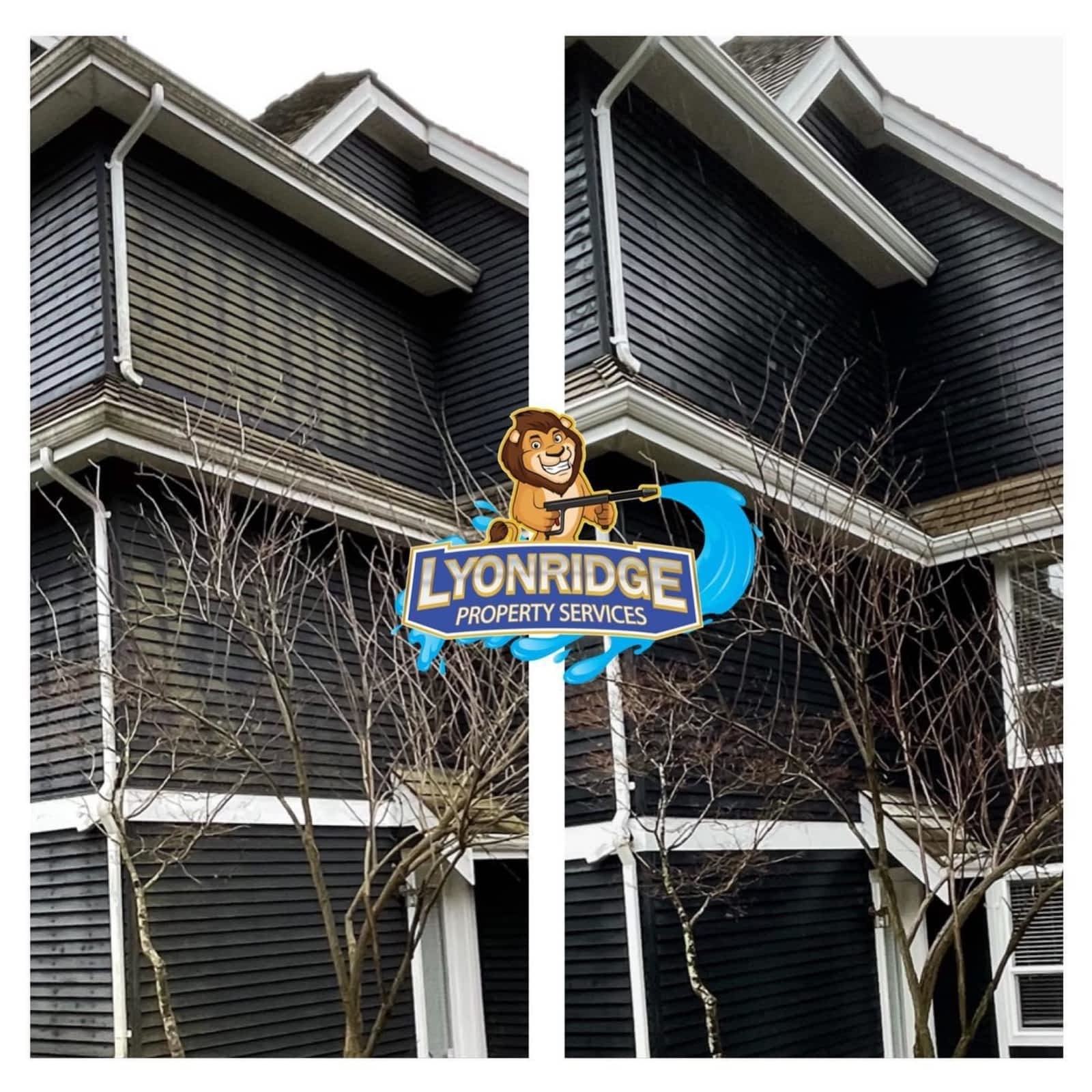 Photo credit: yellowpages.ca