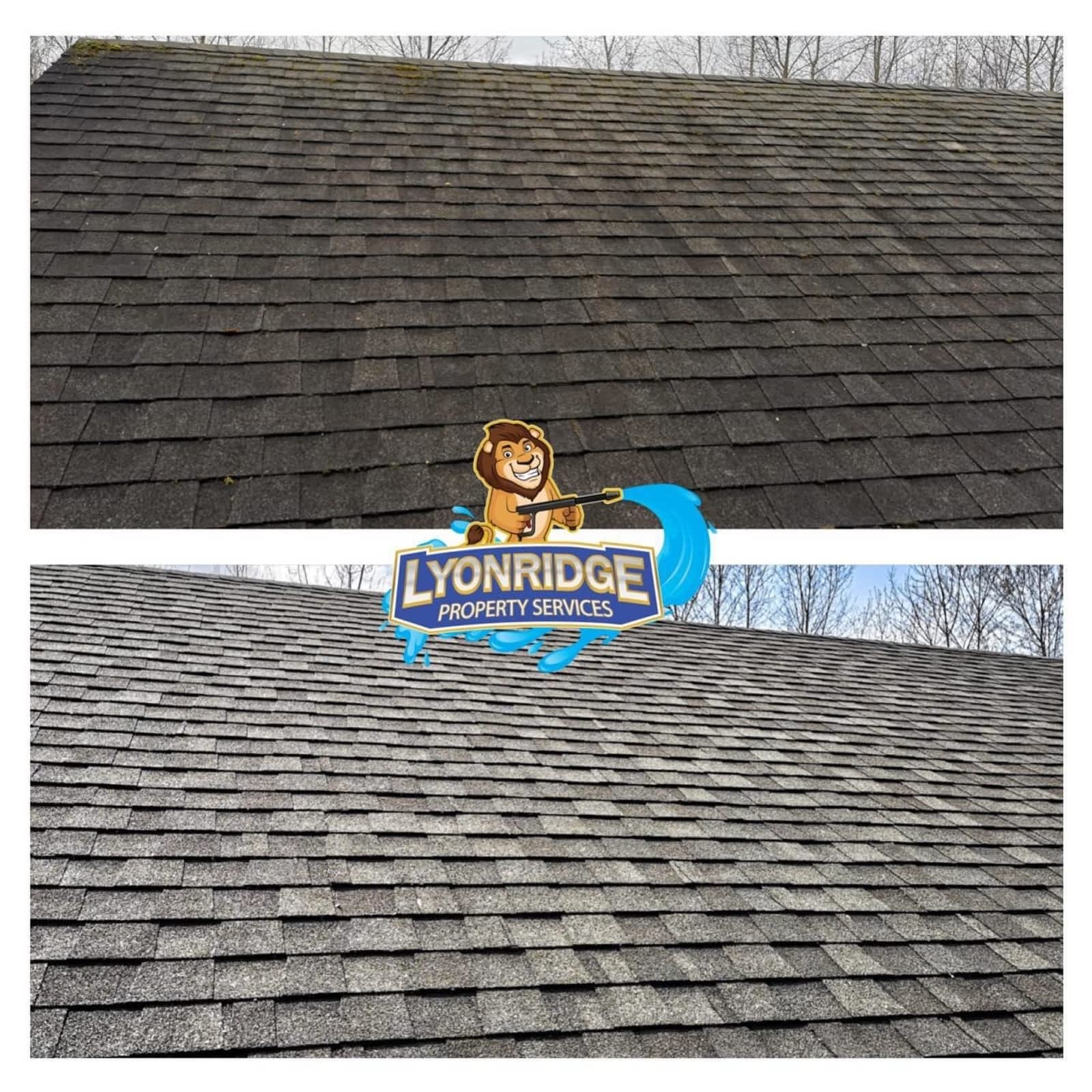 Photo credit: yellowpages.ca