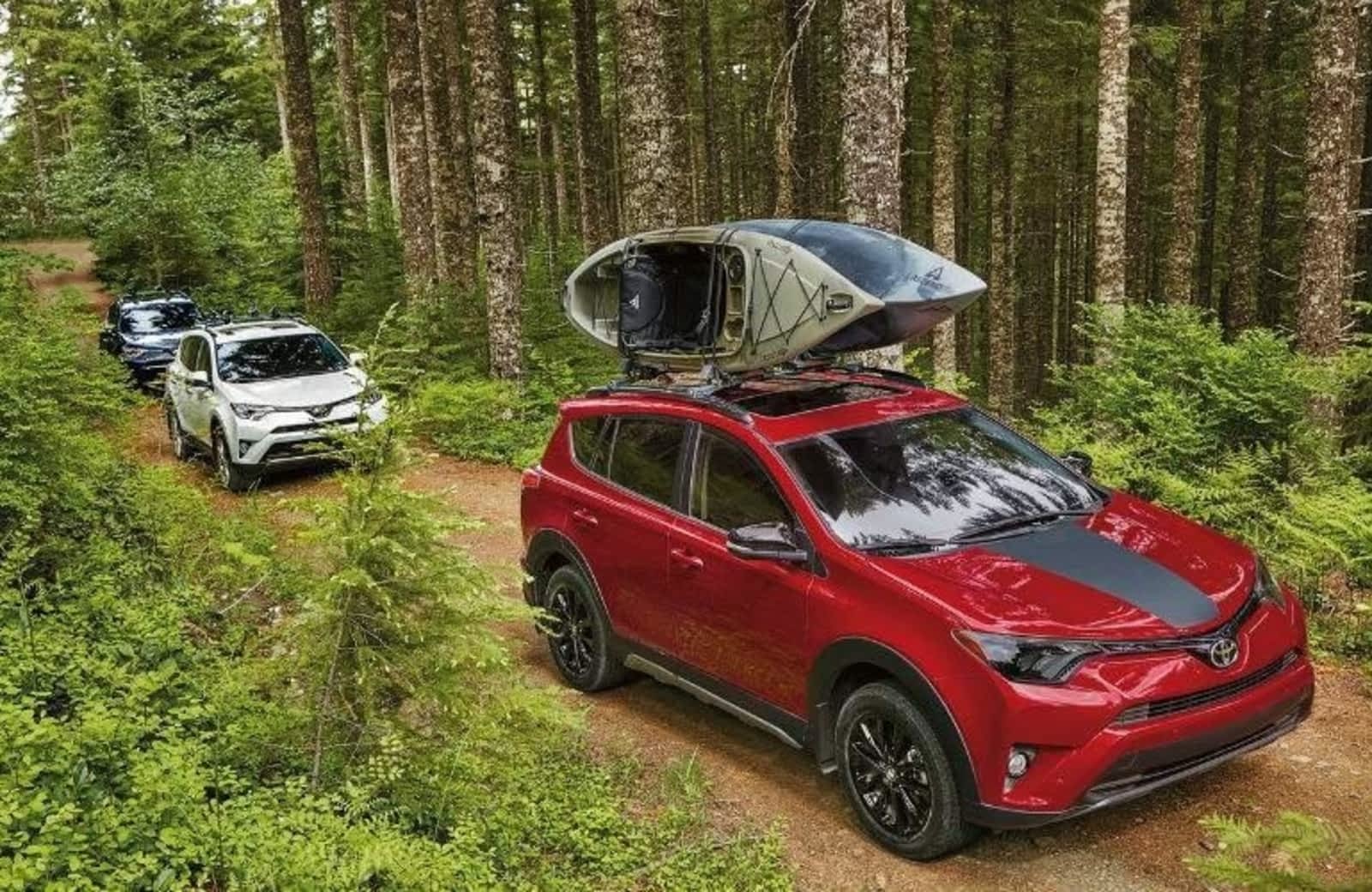 Photo credit: yellowpages.ca
