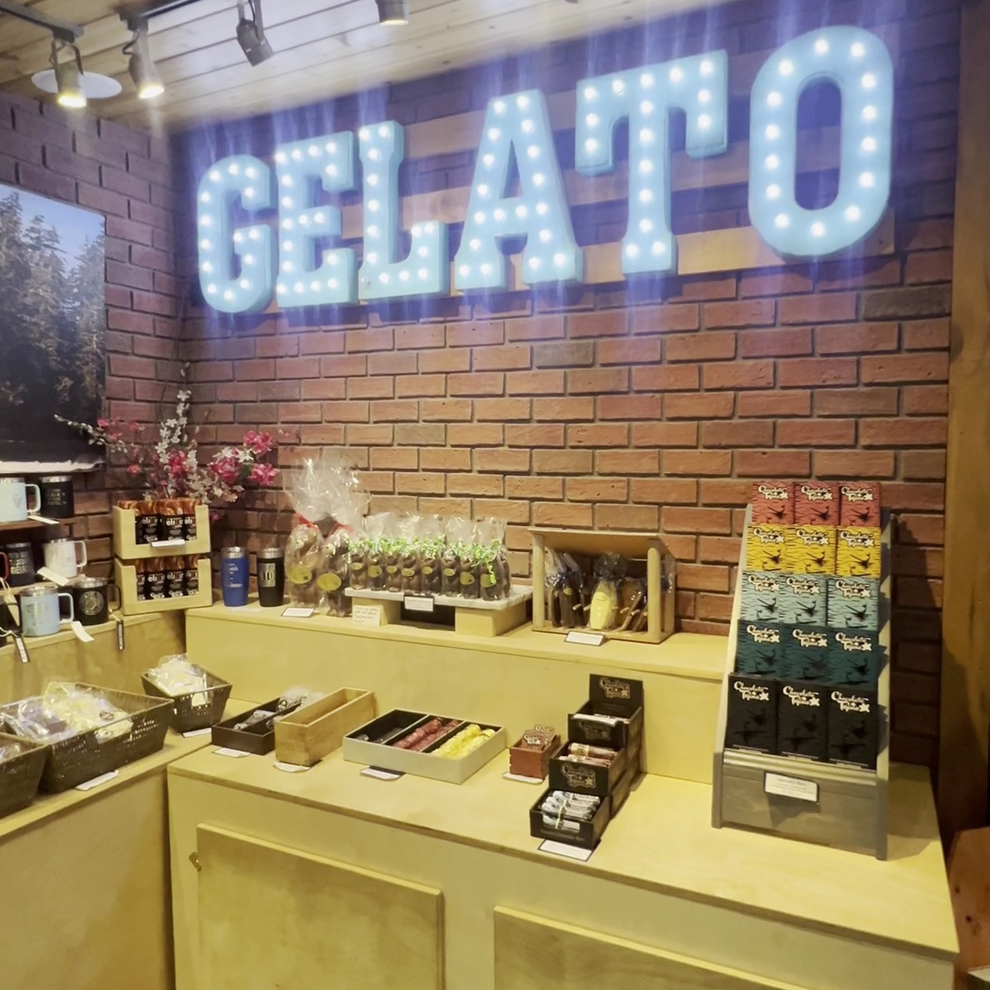 Chocolate Tofino Tofino