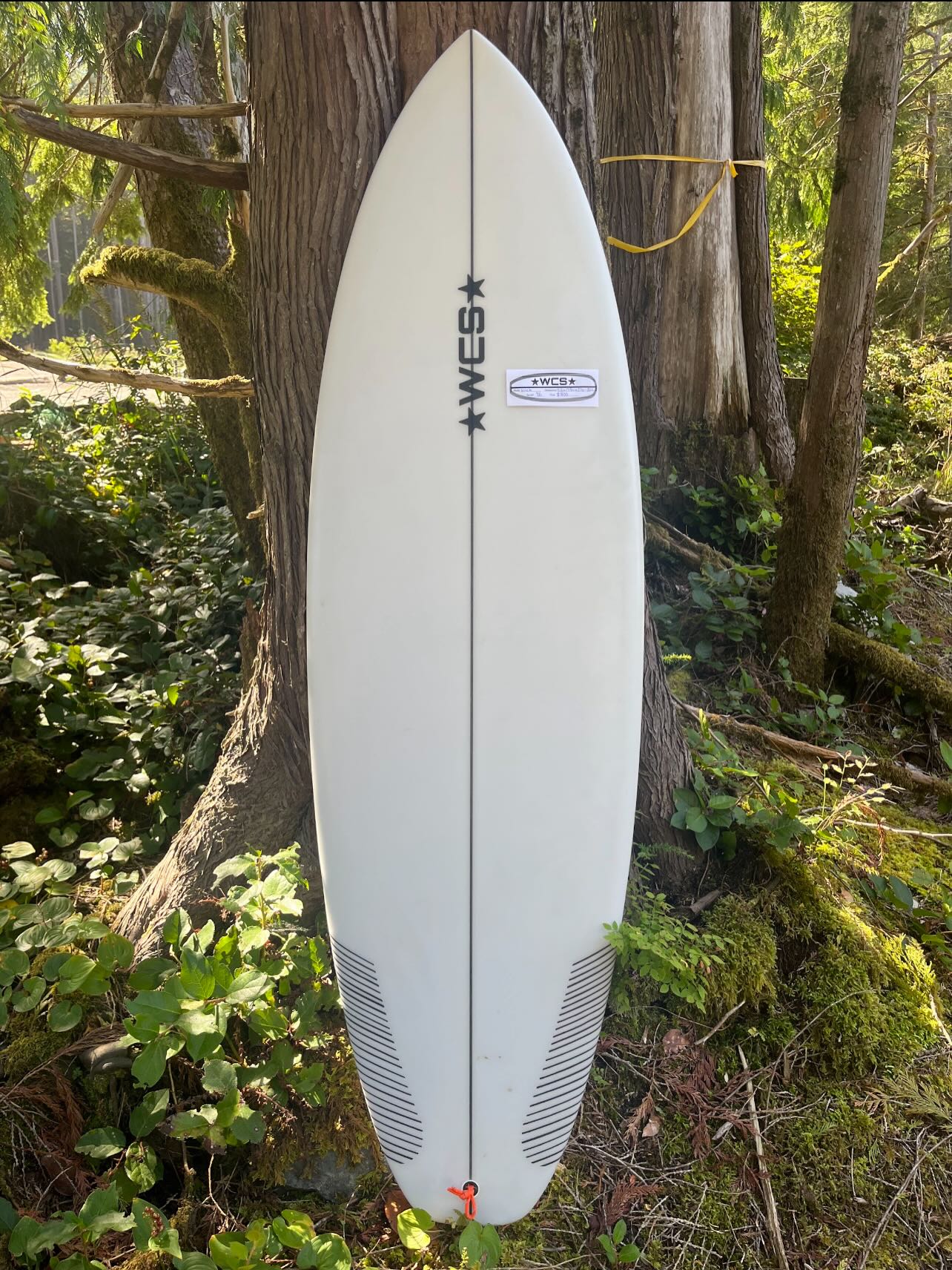 West Coast Shapes Surf Rentals and Ukee Poke Ucluelet