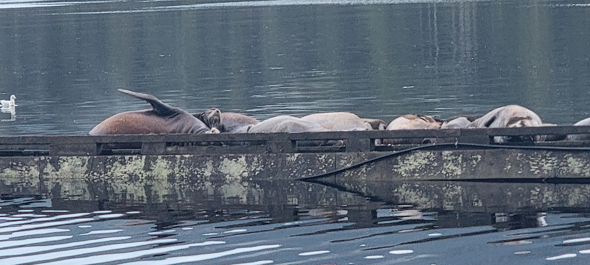 Sound Design & Building Ltd