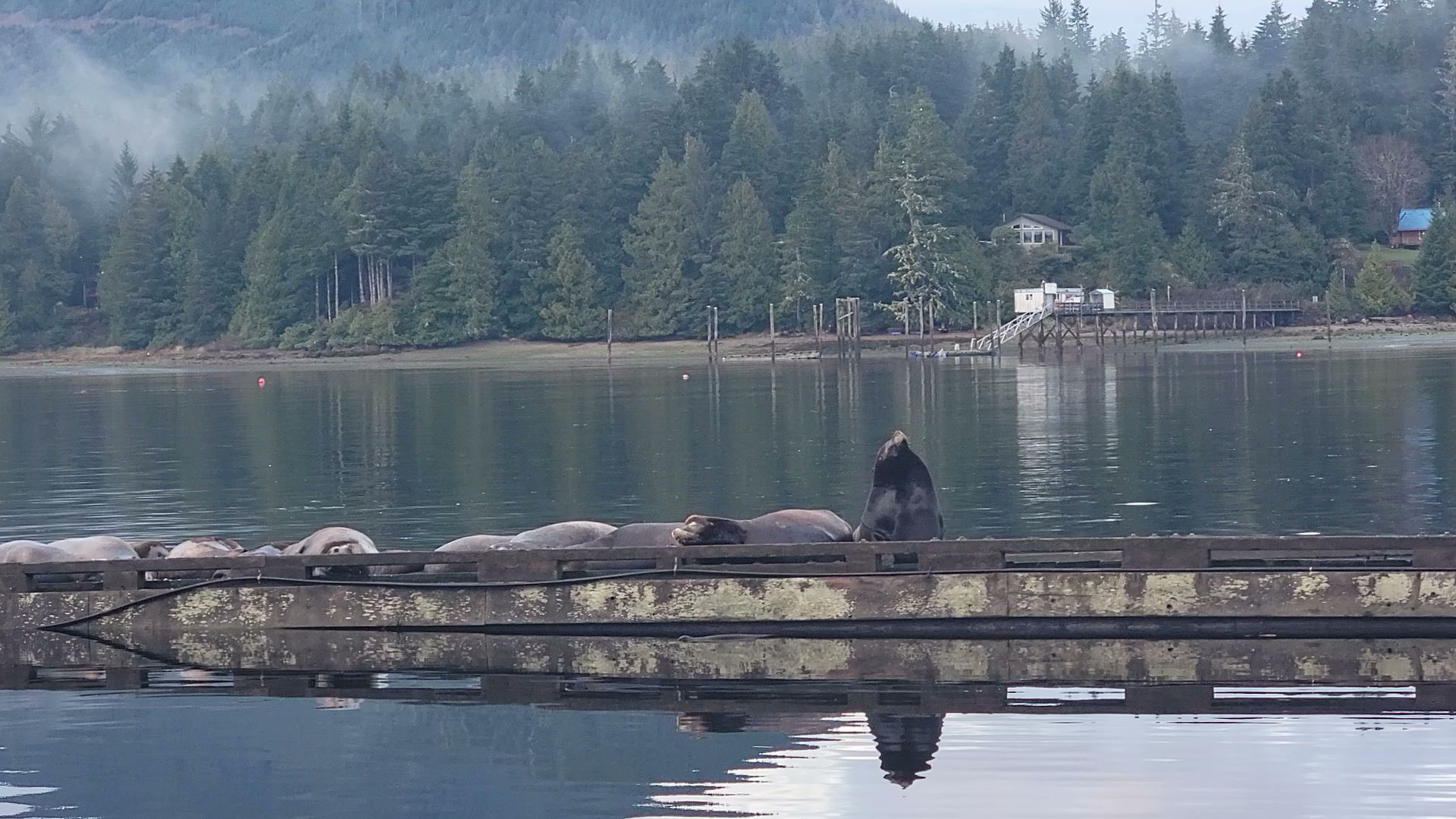 Sound Design & Building Ltd