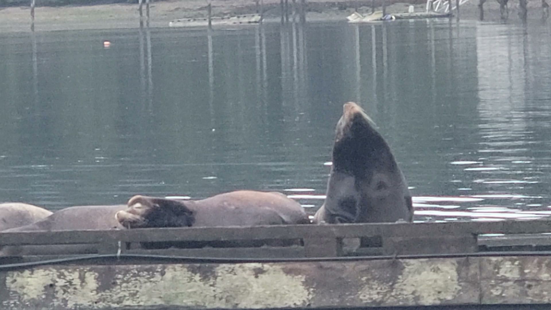 Sound Design & Building Ltd