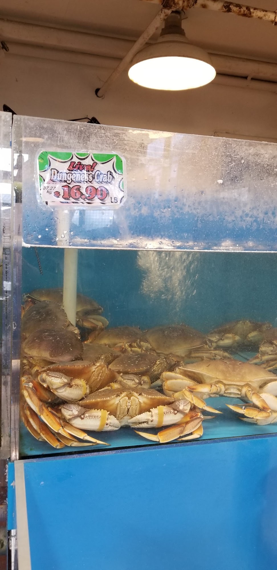 Seafood City Granville Island Menu