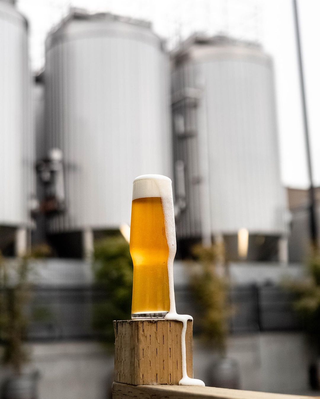 Parallel 49 Brewing Company Menu