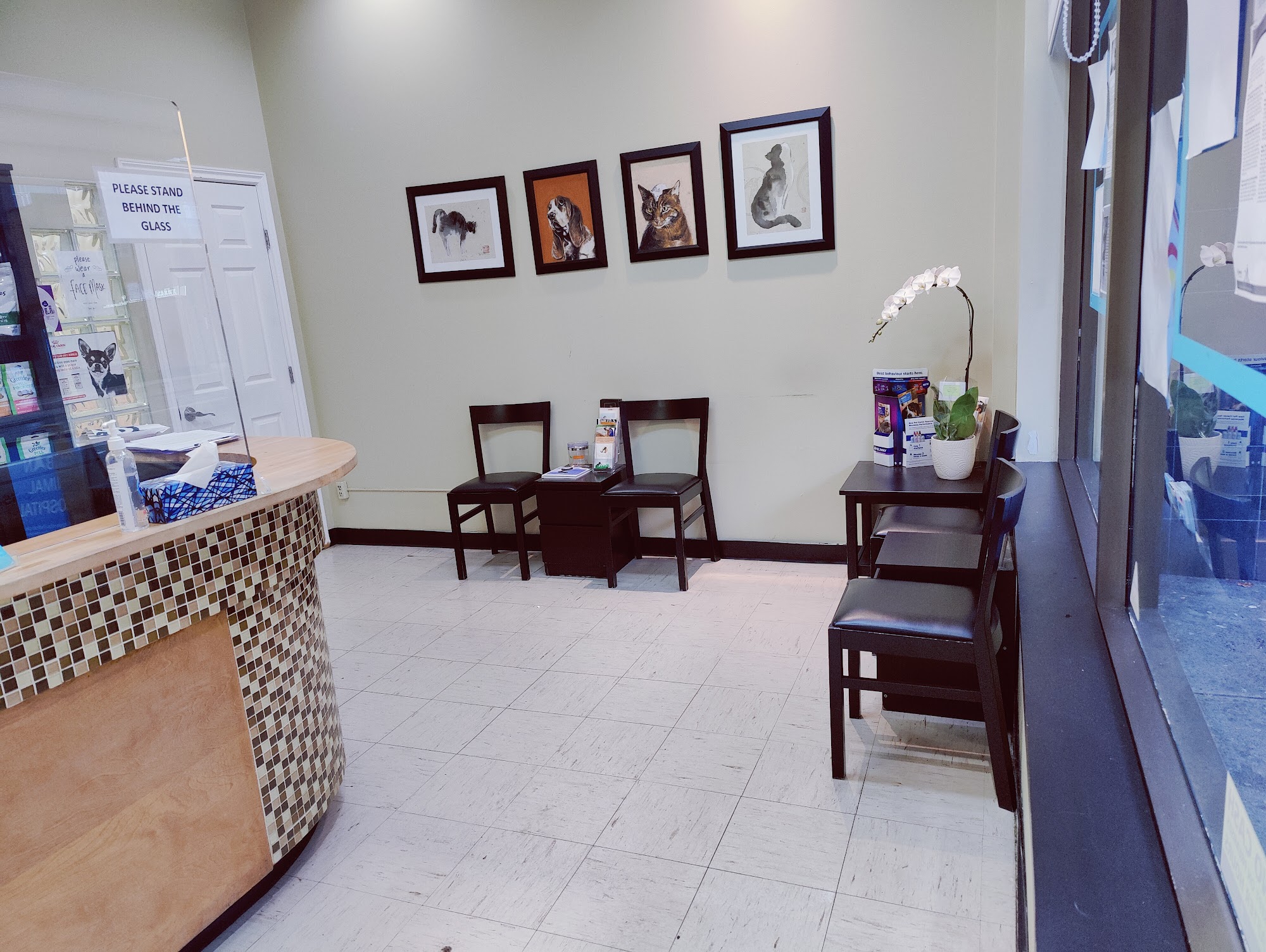 Urban Animal Hospital Vancouver