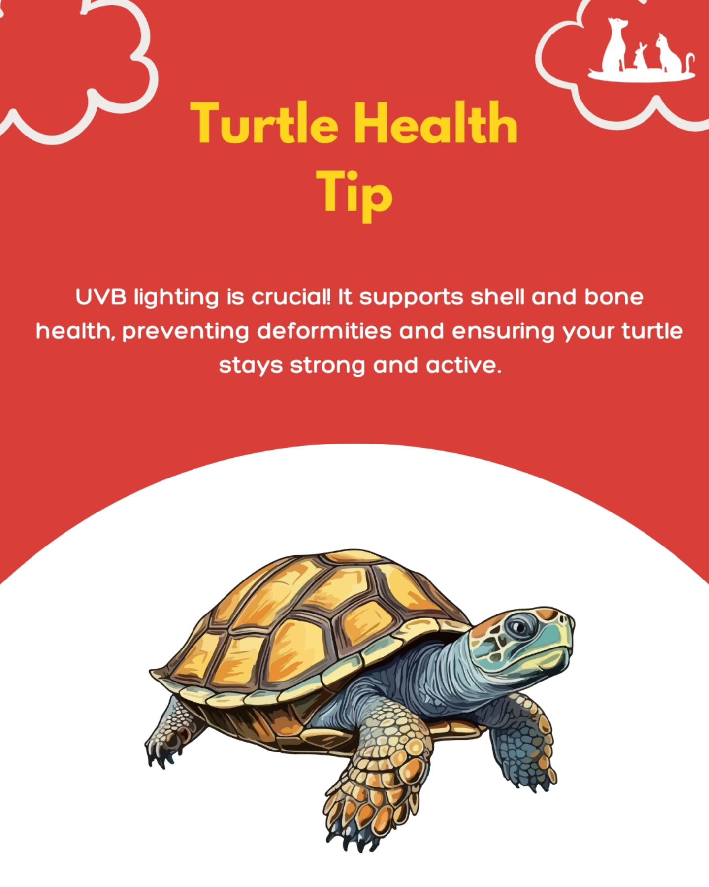 Cypress St. Animal Hospital Vancouver Vancouver