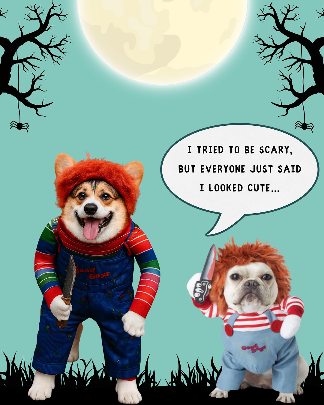 Pet Parlour Vancouver